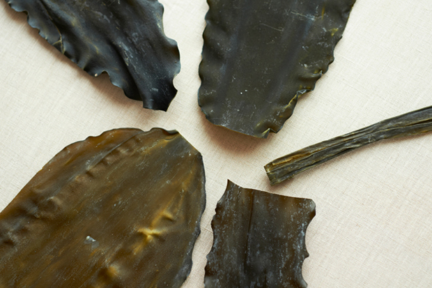 Understanding Dashi Stock — Kelp Edition: The Foundation of Deliciousness