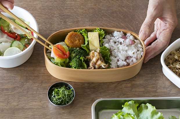 Bento Ideas: Flavorful Bento Recipes for Everyday Lunch
