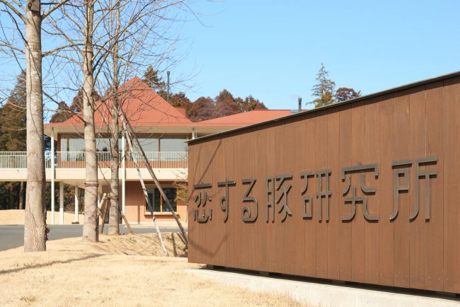 Koisuru-Buta Laboratory