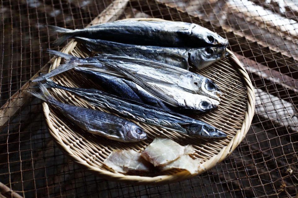What Is Kusaya? Discover the Fermented Power of Kusaya Brine