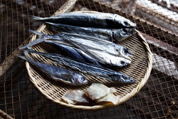 What Is Kusaya? Discover the Fermented Power of Kusaya Brine