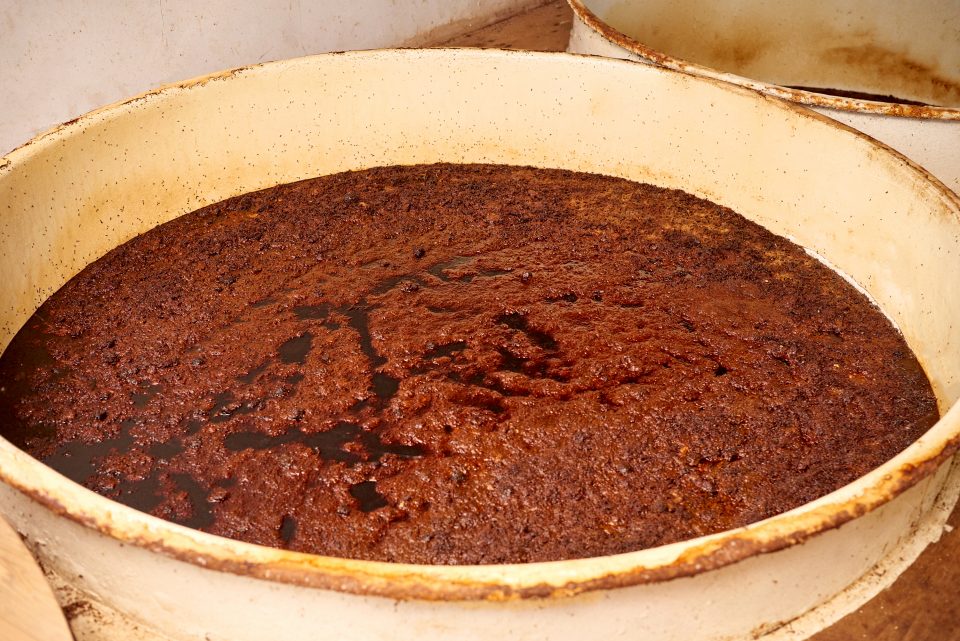 Shottsuru: Akita’s Fermented Fish Sauce with Deep Umami