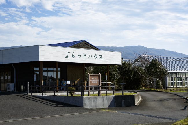 Buratto House