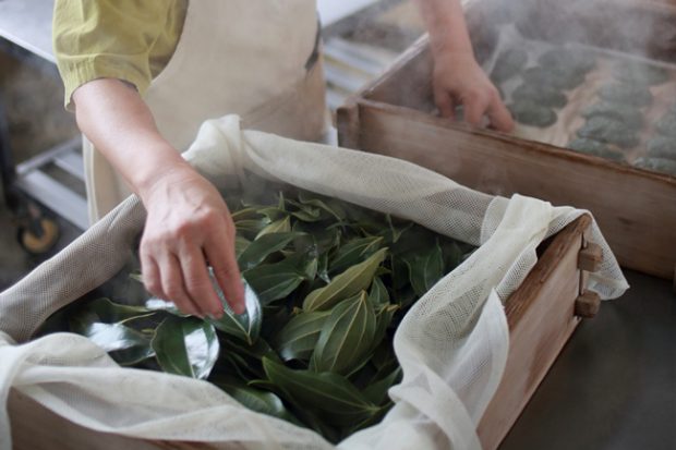 Kesen Dango Dumplings with a Fresh, Leafy Aroma — Kagoshima City, Kagoshima