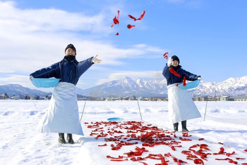 Kanzuri: Aged Chili Paste from Niigata’s Snowy Tradition