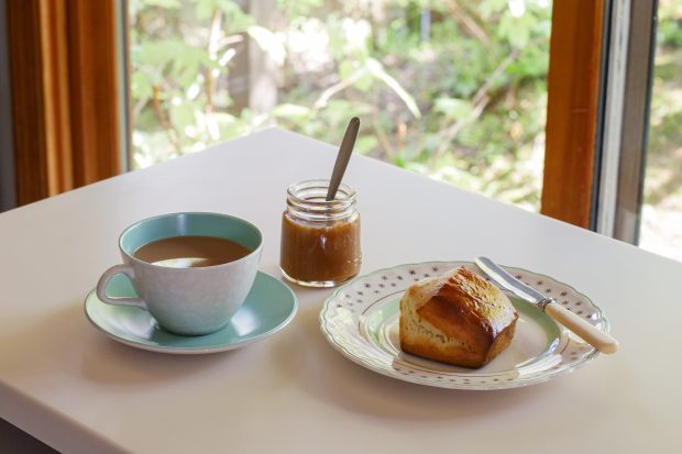 Sweets and Daily Joys by Confectionery Expert Igarashi Romi