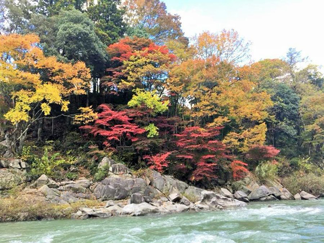 Tenryu River Garyu Gorge Revival Project website (in Japanese):