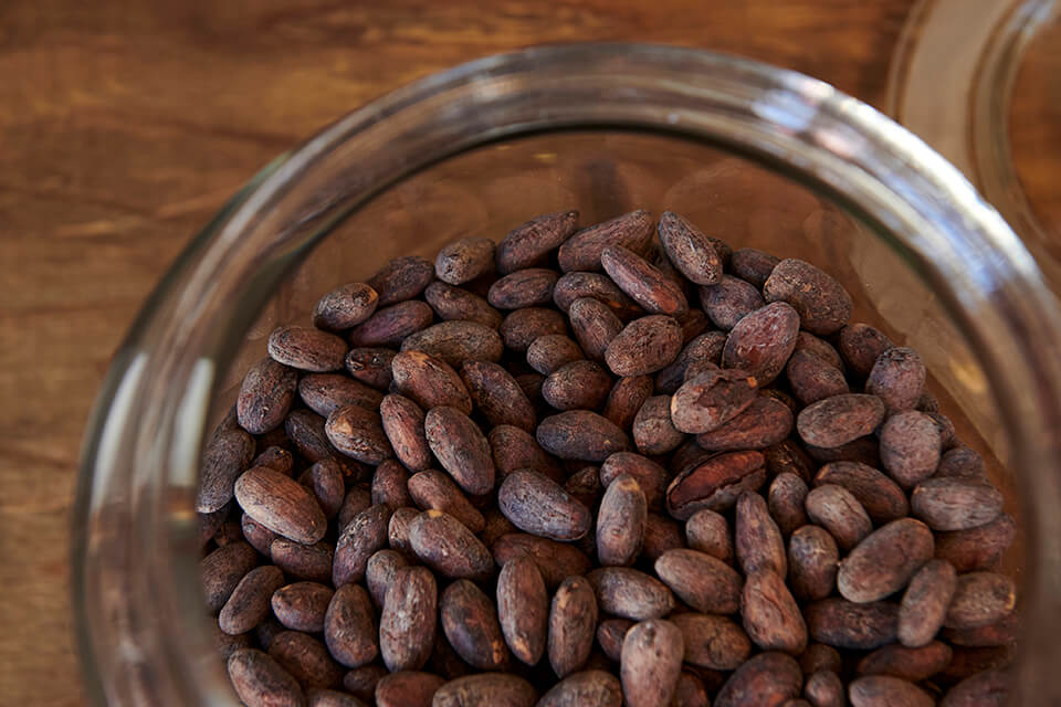 From Cacao Bean to Fermented Chocolate Innovation